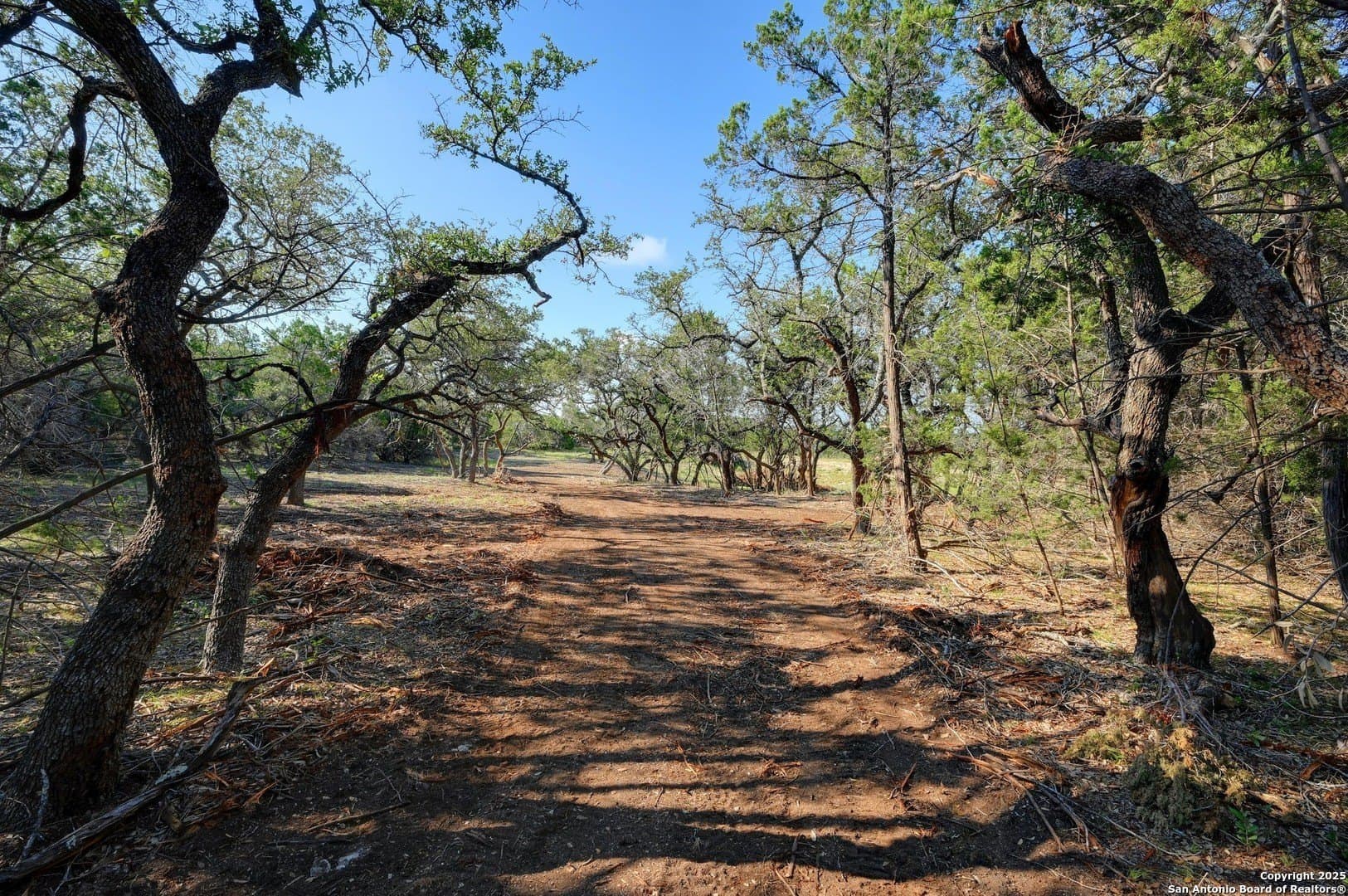 12.34 acres in Comal County - photo 6