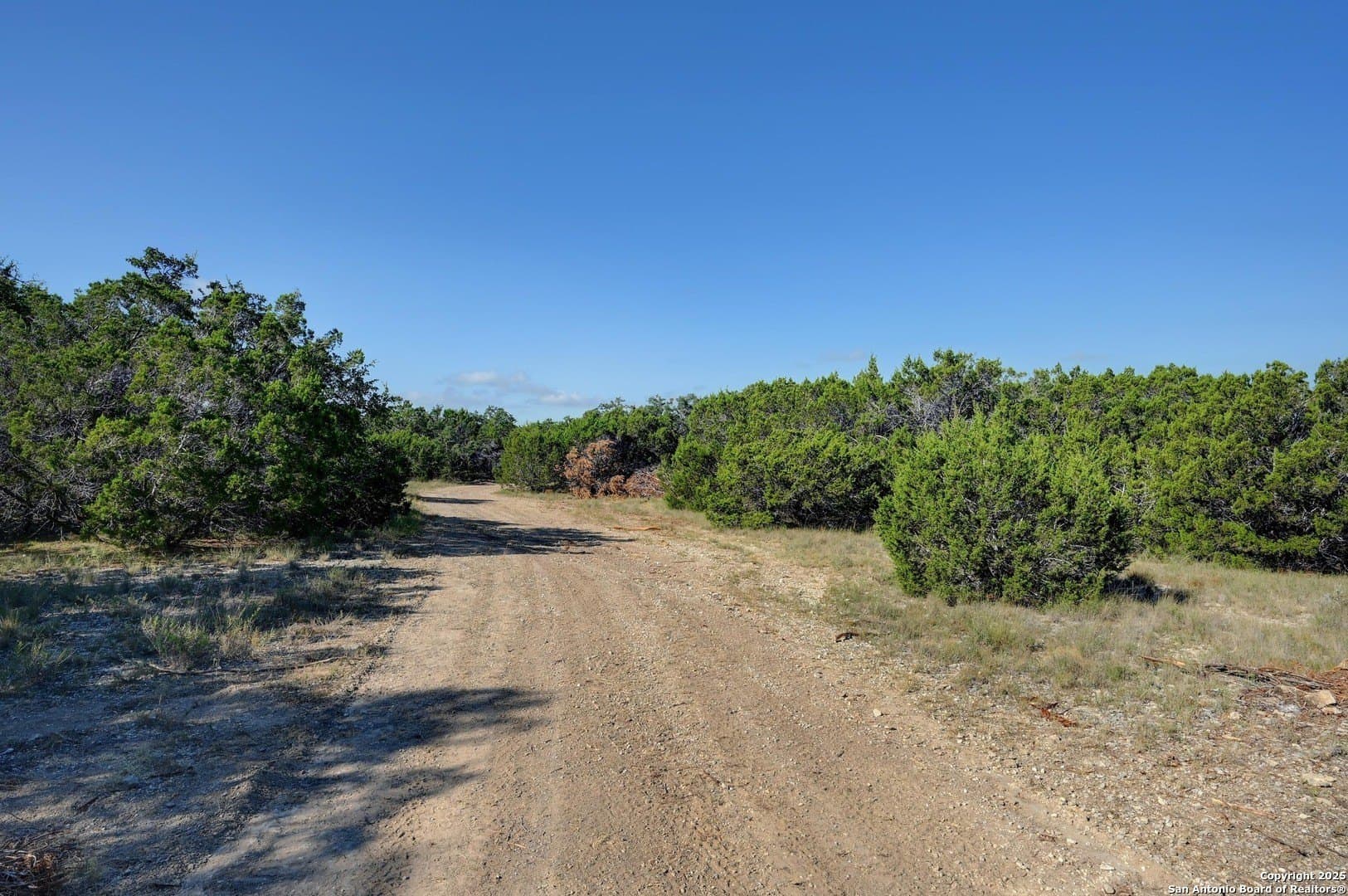 12.34 acres in Comal County - photo 12