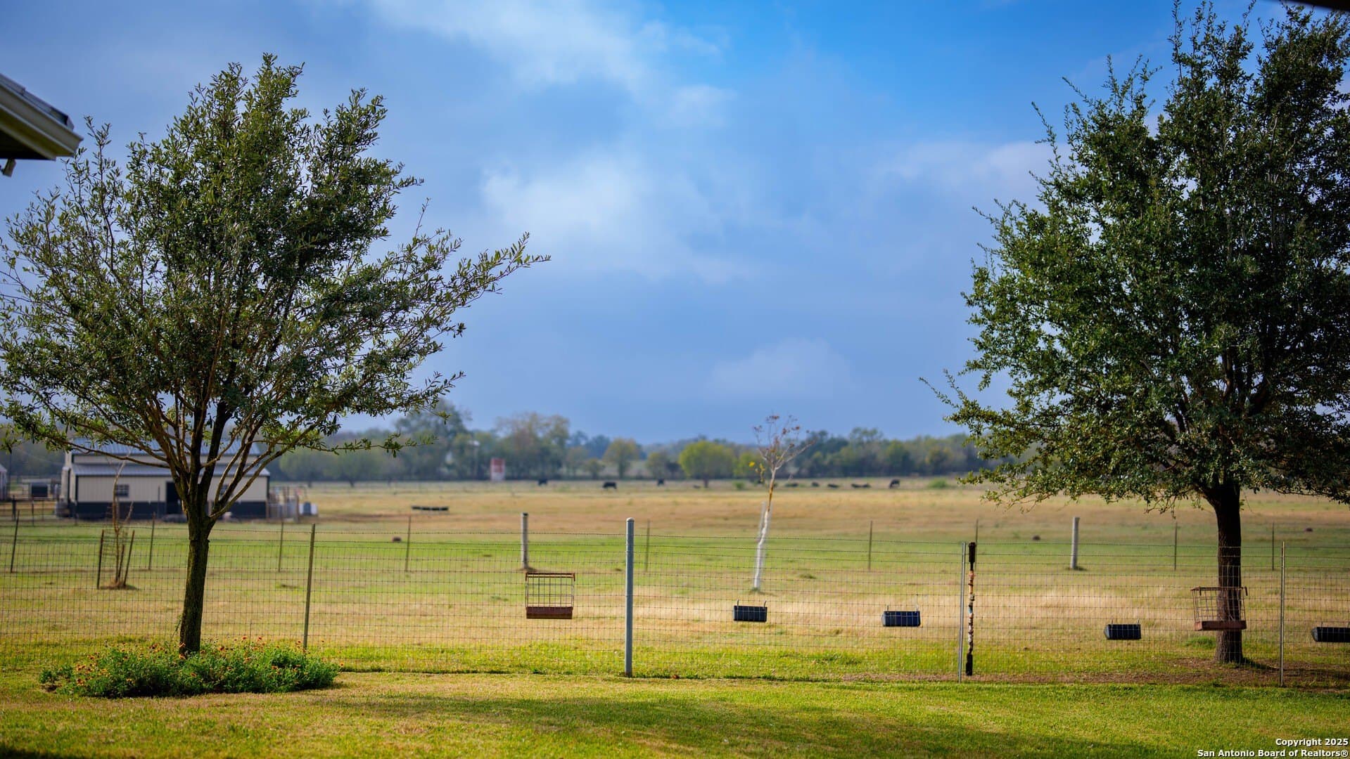 13.95 acres in Bexar County - photo 21