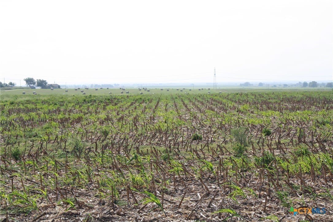 11 acres in Bell County - photo 5