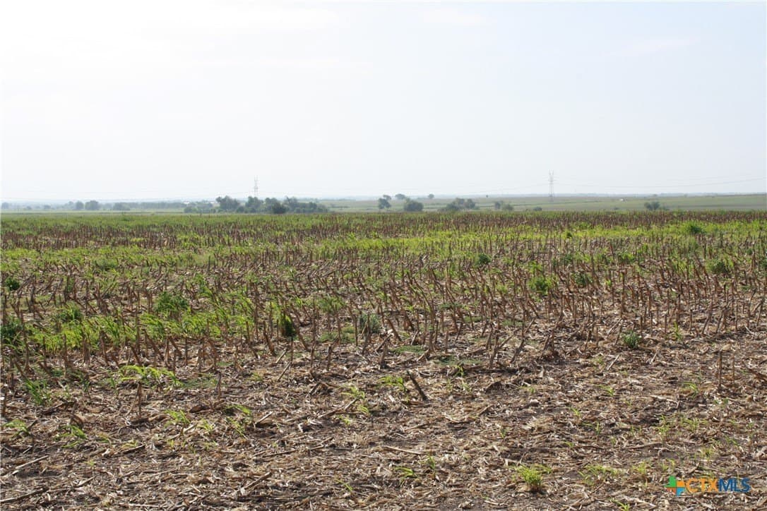 11 acres in Bell County - photo 4