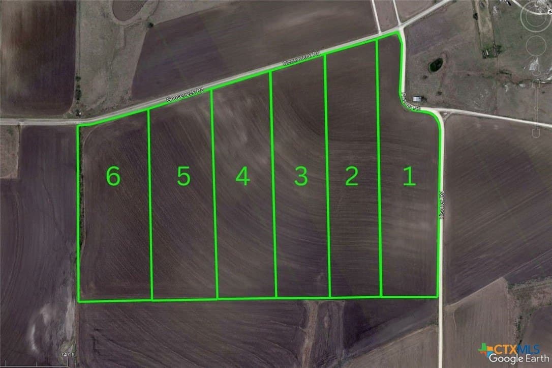 11 acres in Bell County - photo 11