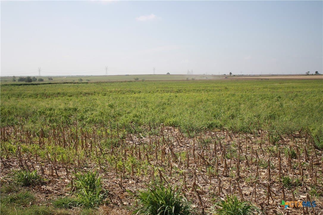 11 acres in Bell County - photo 7