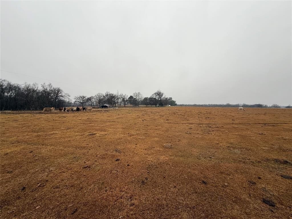 14.76 acres in Hopkins County - photo 16
