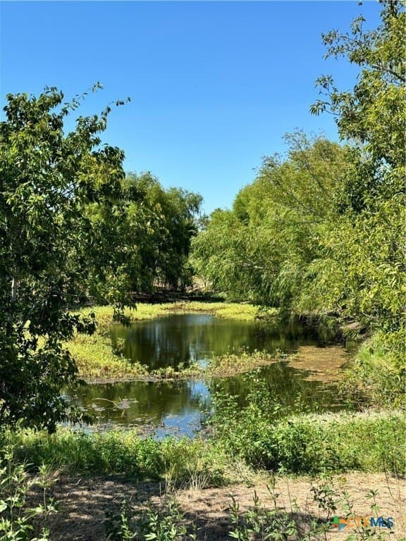150.17 acres in Williamson County - photo 21