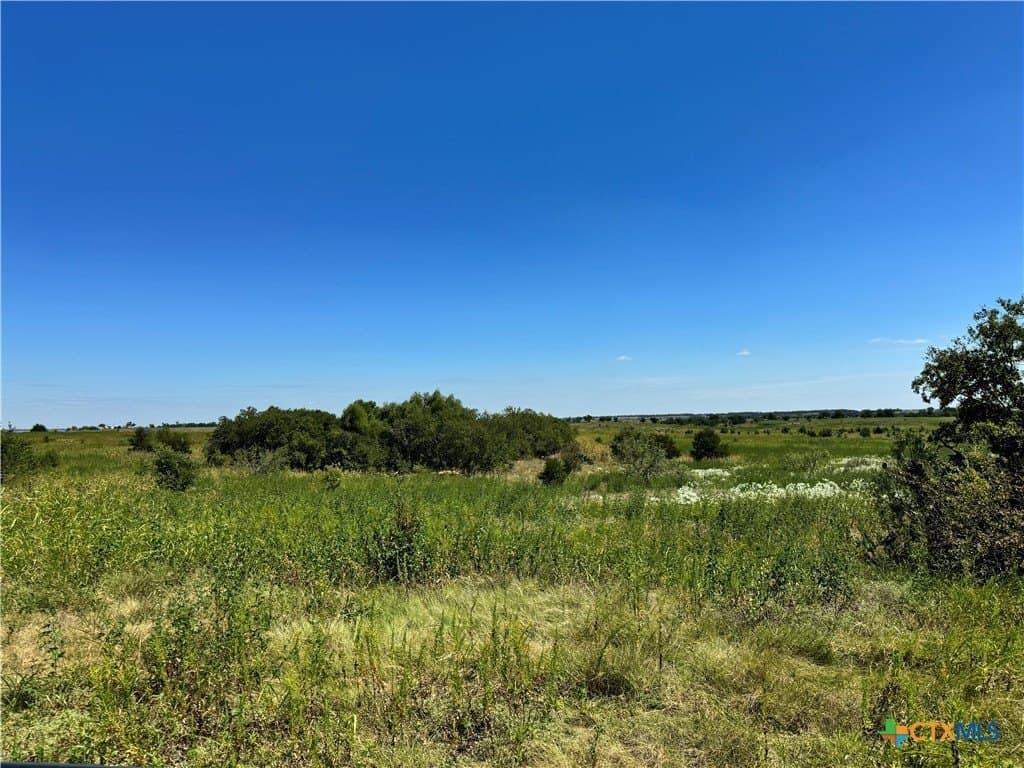 150.17 acres in Williamson County - photo 23