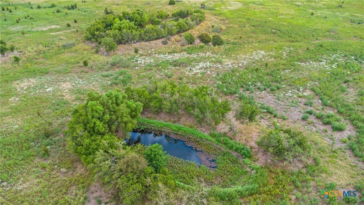 150.17 acres in Williamson County - photo 13