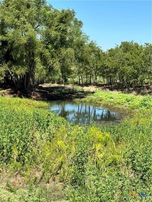 150.17 acres in Williamson County - photo 20