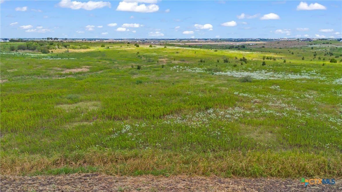 150.17 acres in Williamson County - photo 16