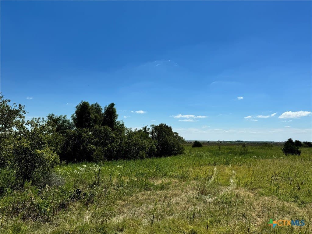 150.17 acres in Williamson County - photo 24