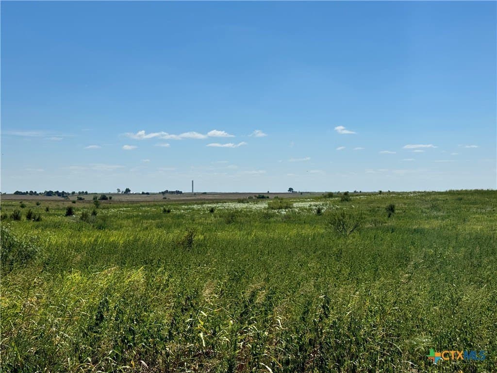 150.17 acres in Williamson County - photo 22