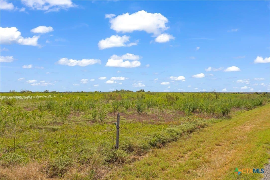 150.17 acres in Williamson County - photo 7