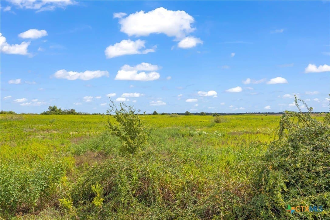 150.17 acres in Williamson County - photo 4