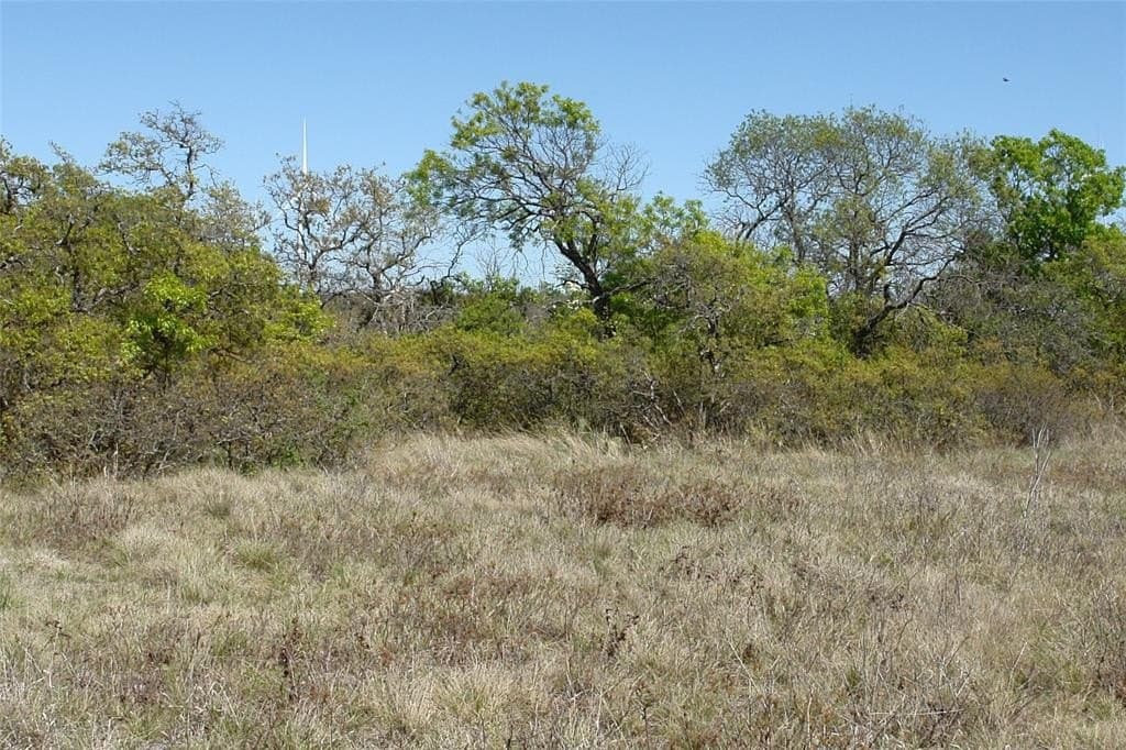 100 acres in Mills County - photo 19