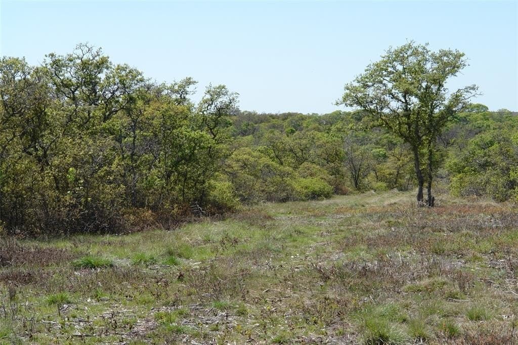100 acres in Mills County - photo 16