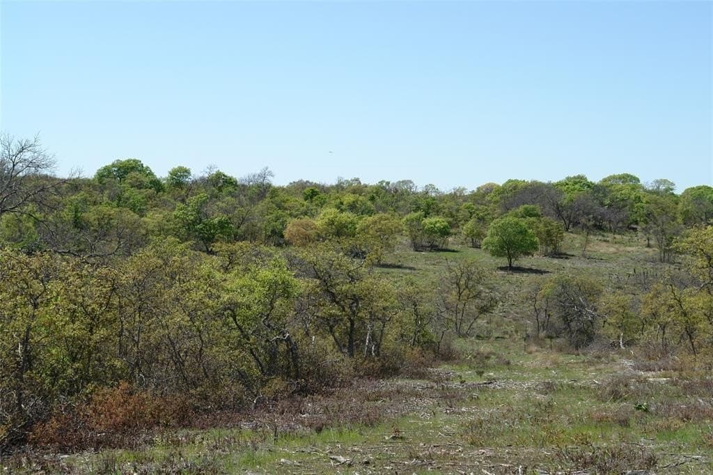 100 acres in Mills County - photo 17
