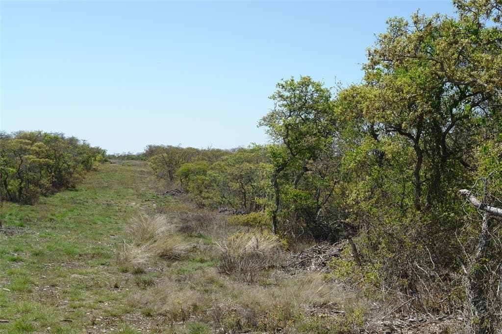 100 acres in Mills County - photo 23