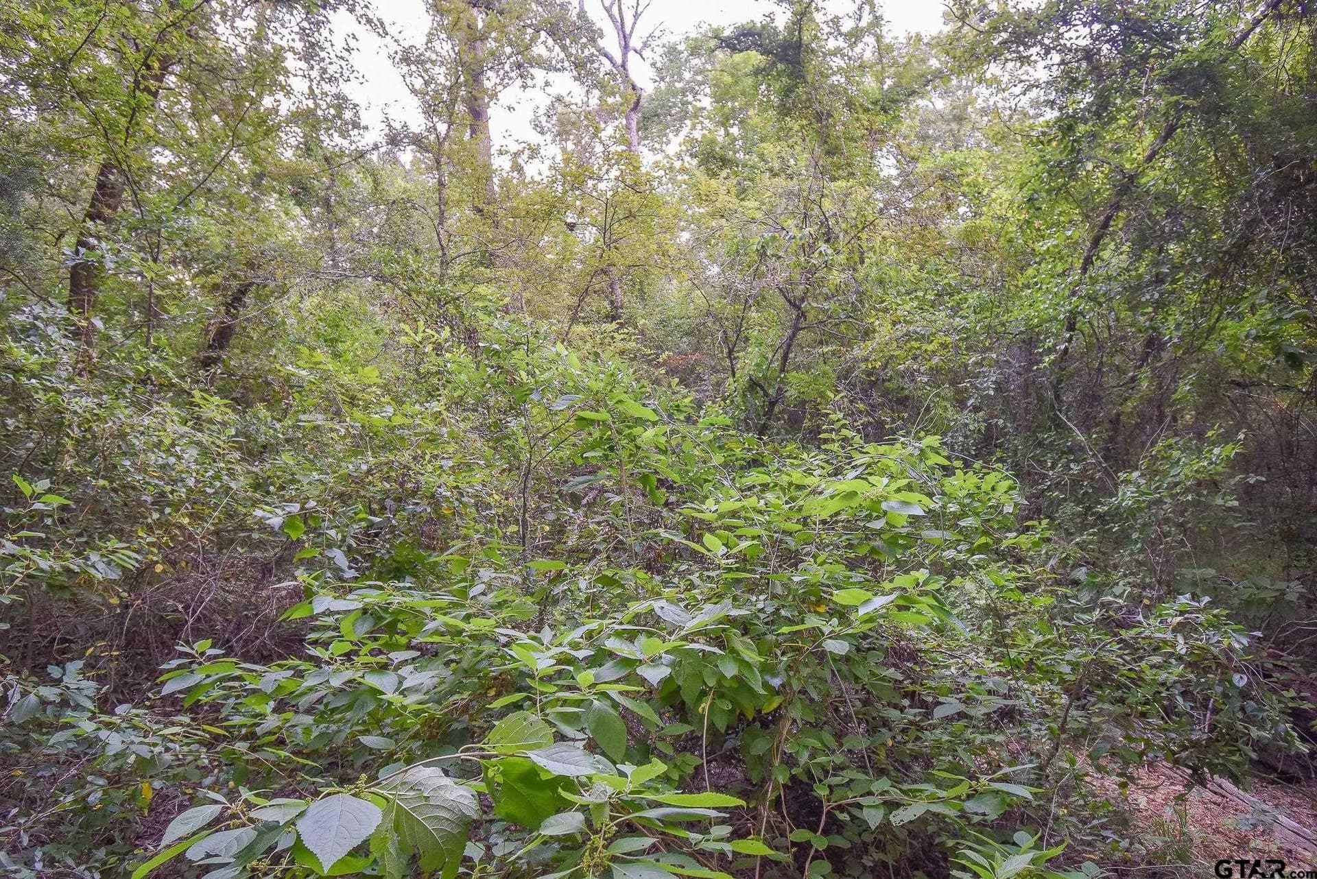 12 acres in Van Zandt County - photo 2