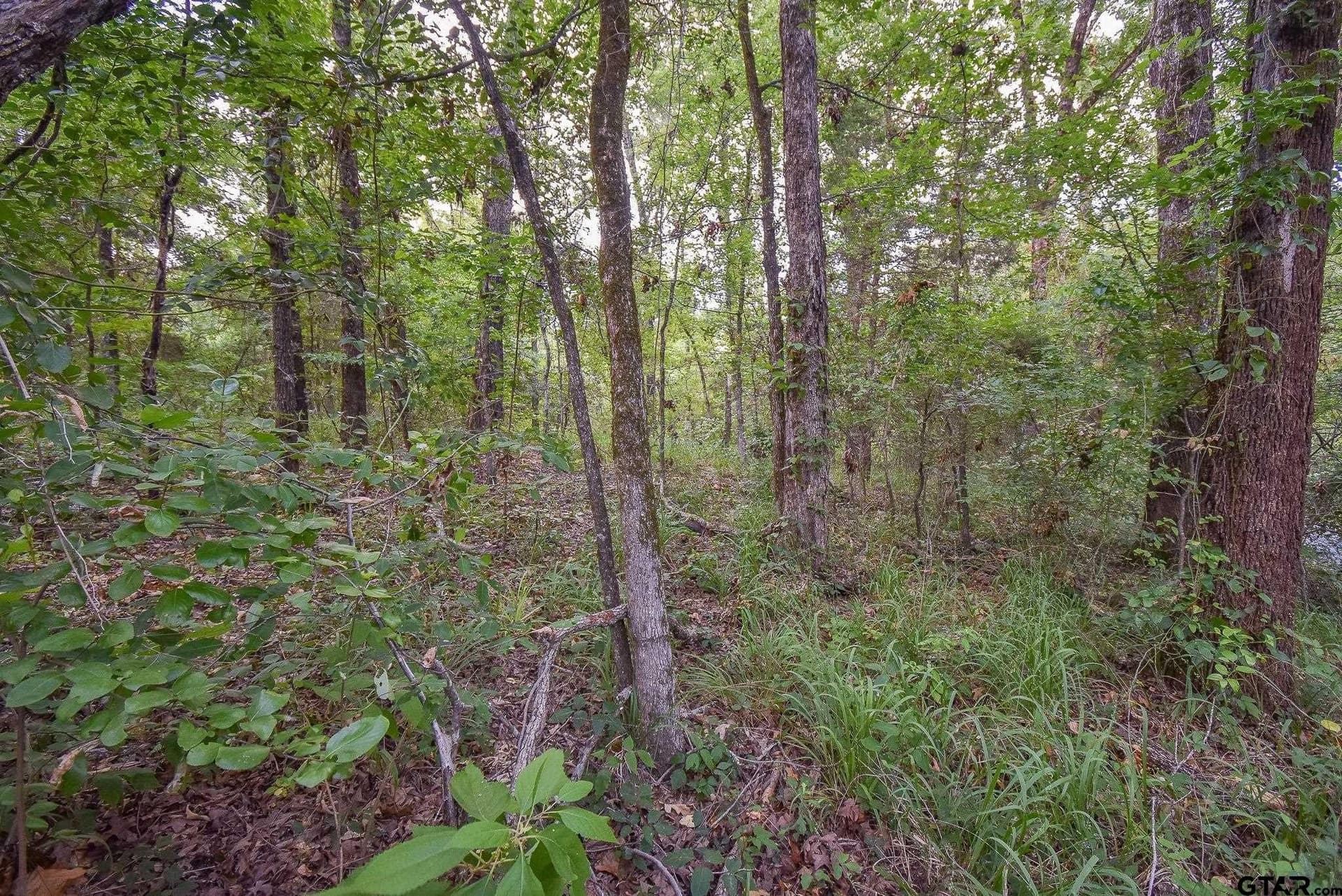 12 acres in Van Zandt County - photo 3