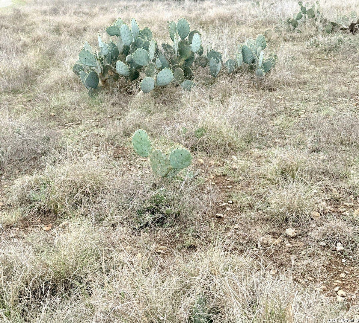 0.45 acres in Bandera County - photo 8