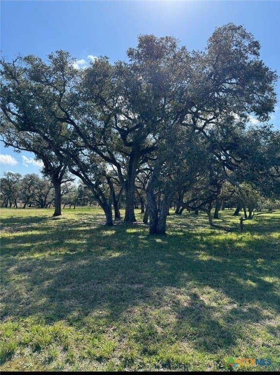 2.22 acres in Victoria County - photo 2