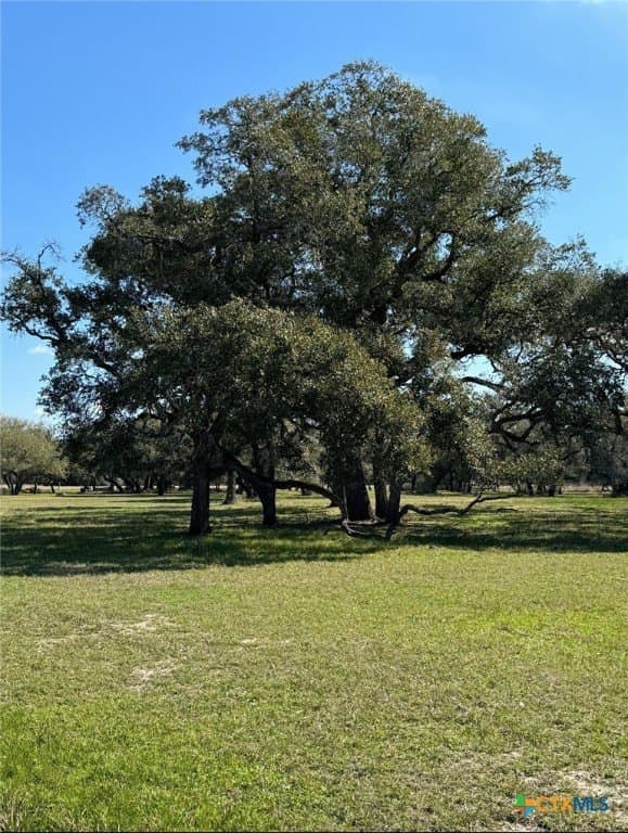 2.22 acres in Victoria County - photo 5