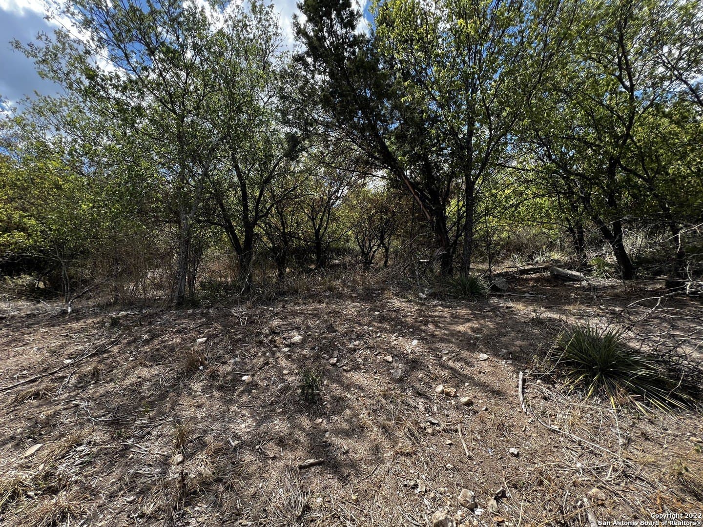 5.62 acres in Bexar County - photo 8