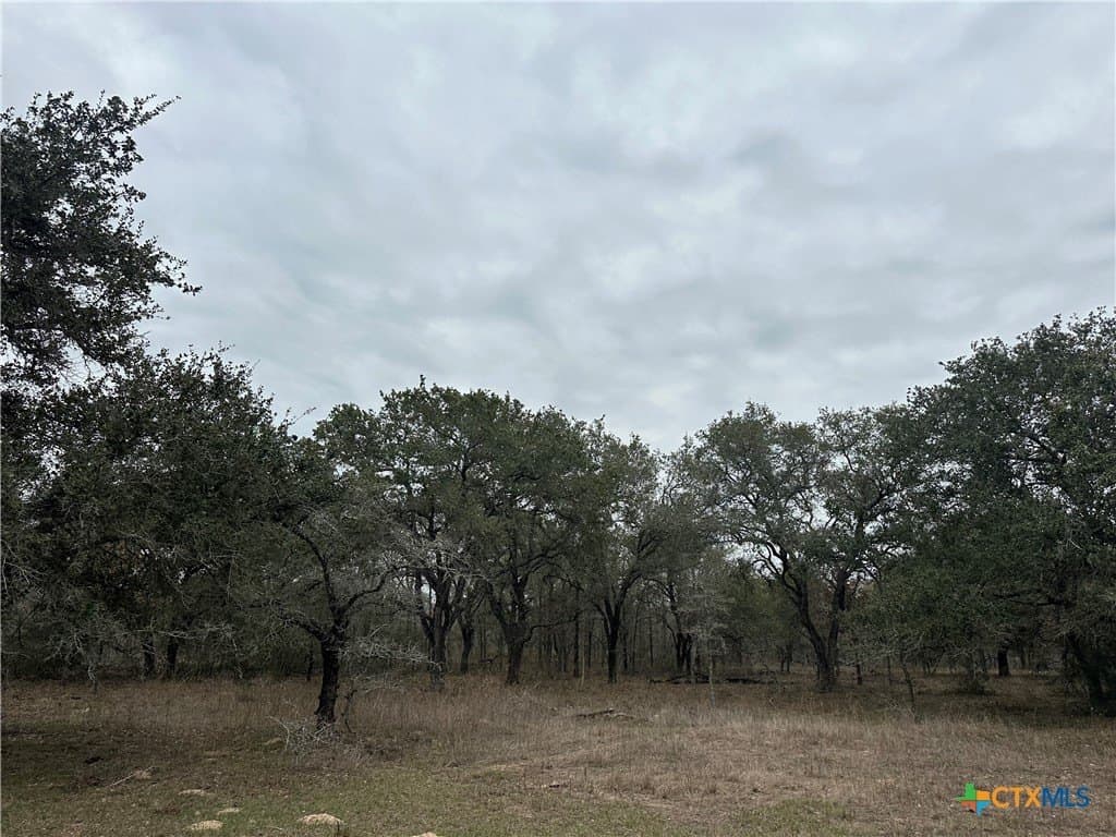 23.15 acres in Victoria County - photo 3