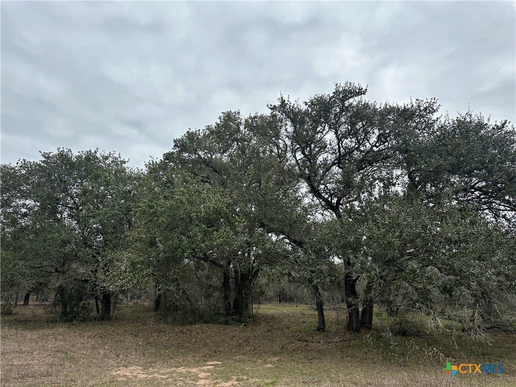 23.15 acres in Victoria County - photo 5