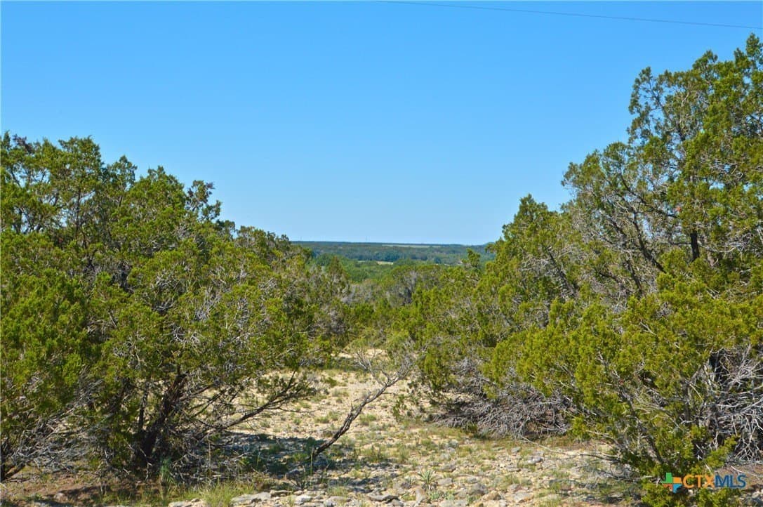 21.2 acres in Lampasas County - photo 4