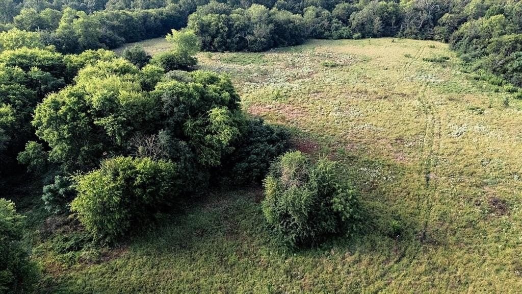 83.79 acres in Smith County - photo 3
