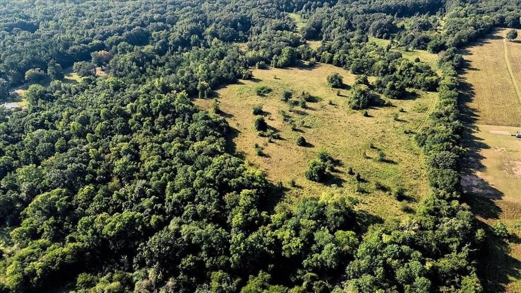 83.79 acres in Smith County - photo 4