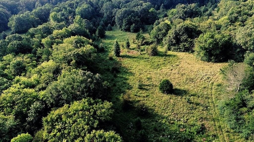 83.79 acres in Smith County - photo 10