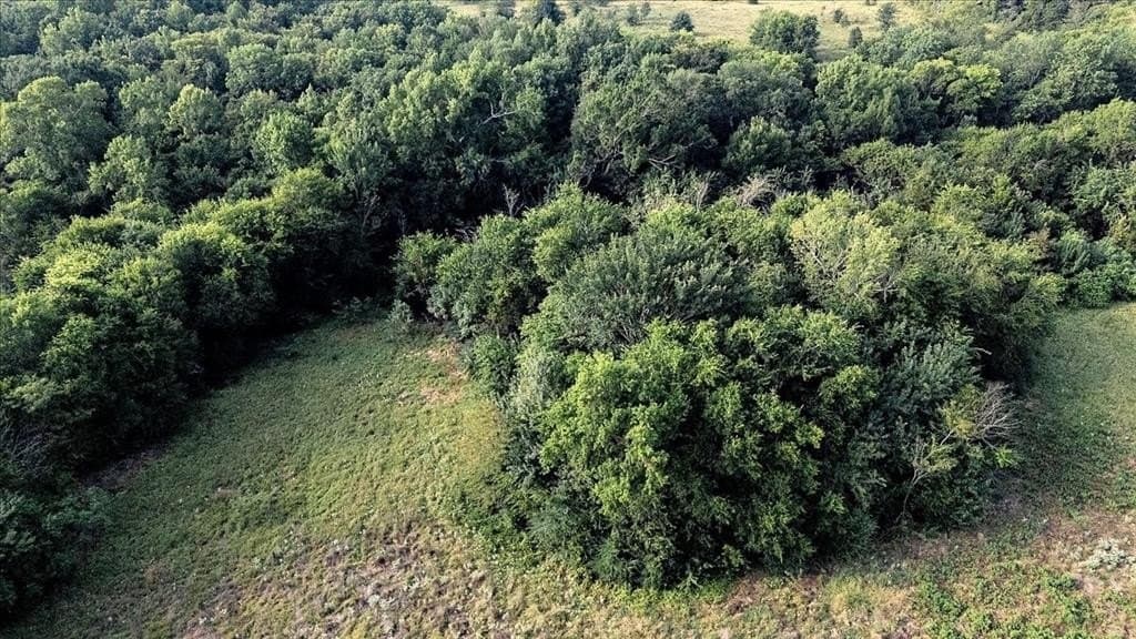 83.79 acres in Smith County - photo 7