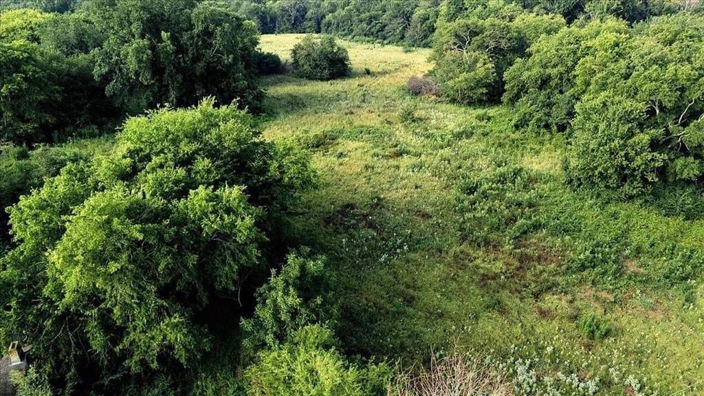 83.79 acres in Smith County - photo 6