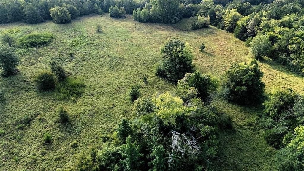 83.79 acres in Smith County - photo 8