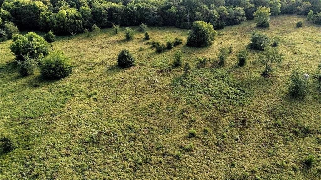 83.79 acres in Smith County - photo 9