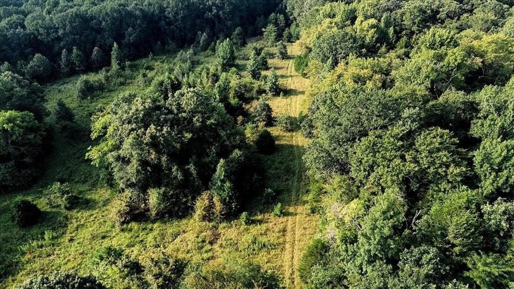 83.79 acres in Smith County - photo 11