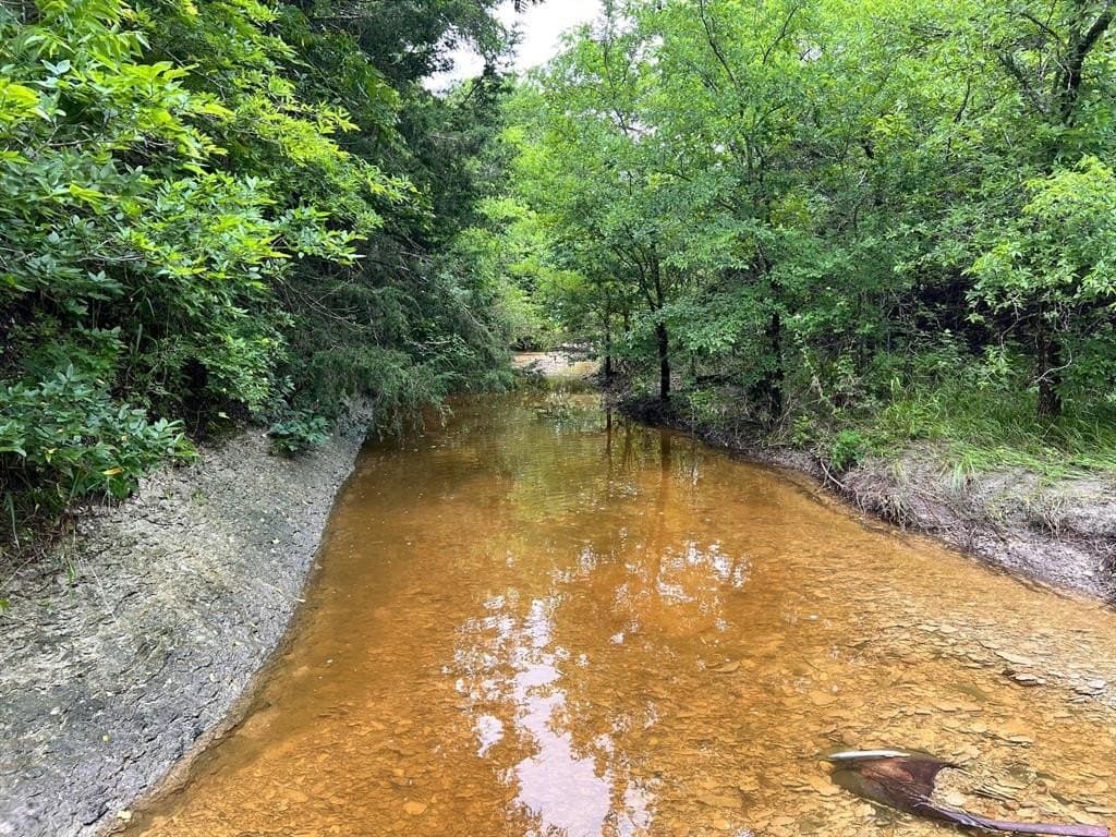 11 acres in Delta County - photo 3