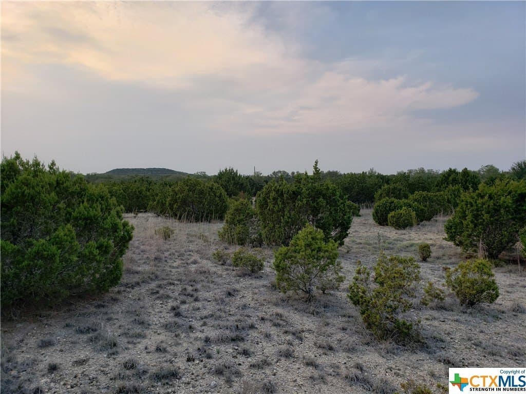 10.01 acres in Coryell County - photo 3