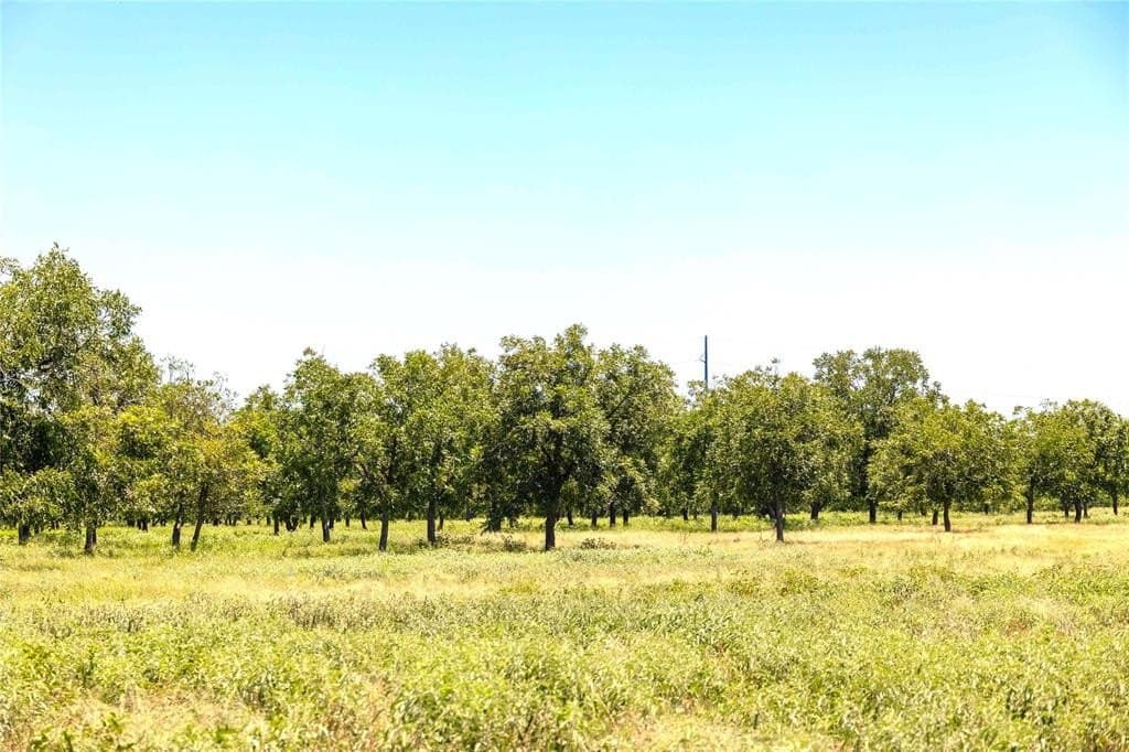 164.08 acres in Comanche County - photo 5