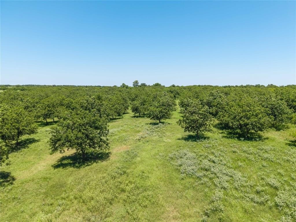 164.08 acres in Comanche County - photo 3