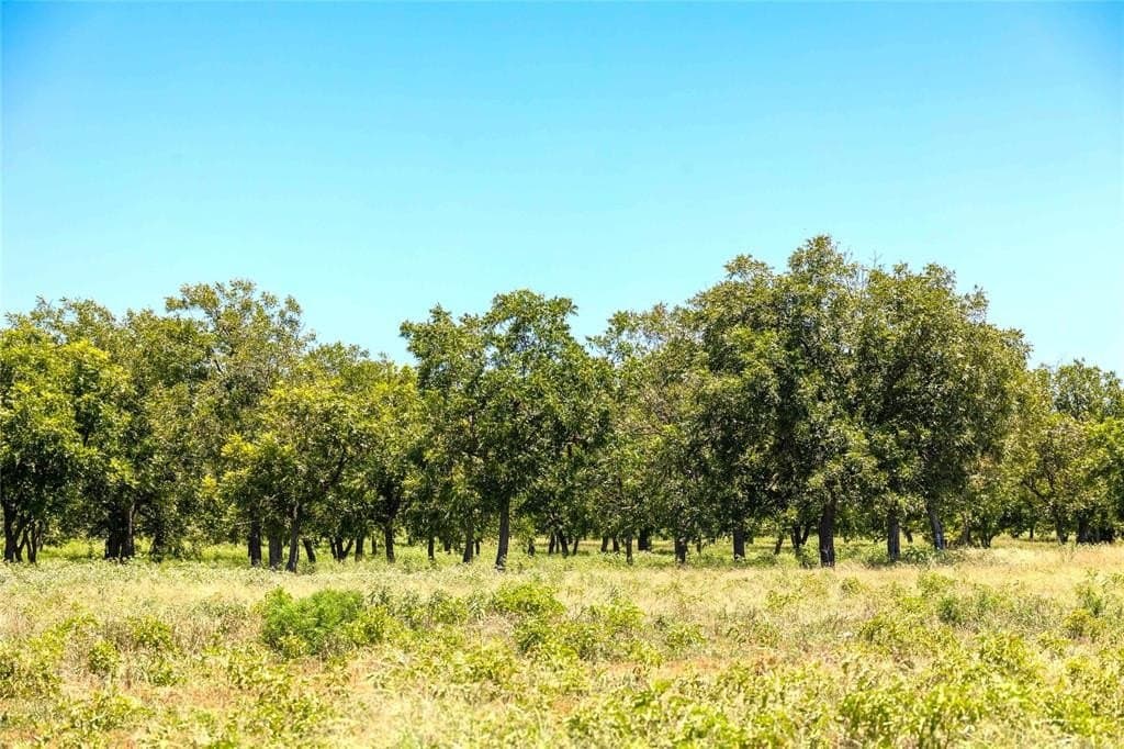 164.08 acres in Comanche County - photo 6