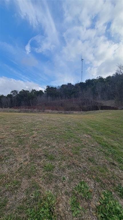 1.3 acres in Dallas County - photo 8