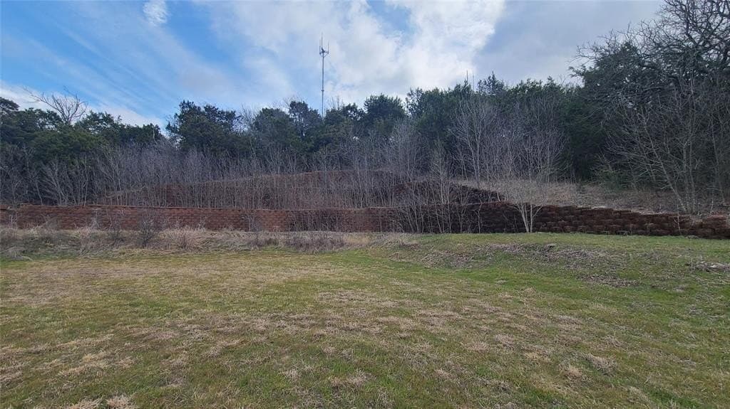 1.3 acres in Dallas County - photo 6