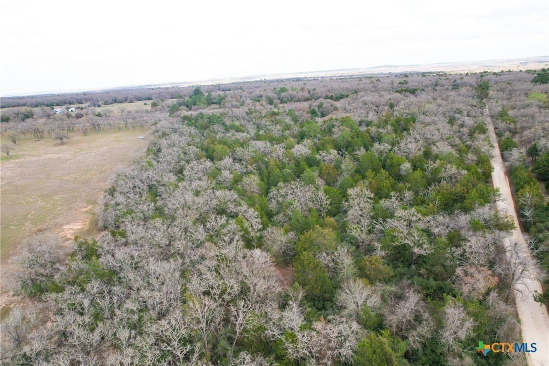 17 acres in Milam County - photo 6