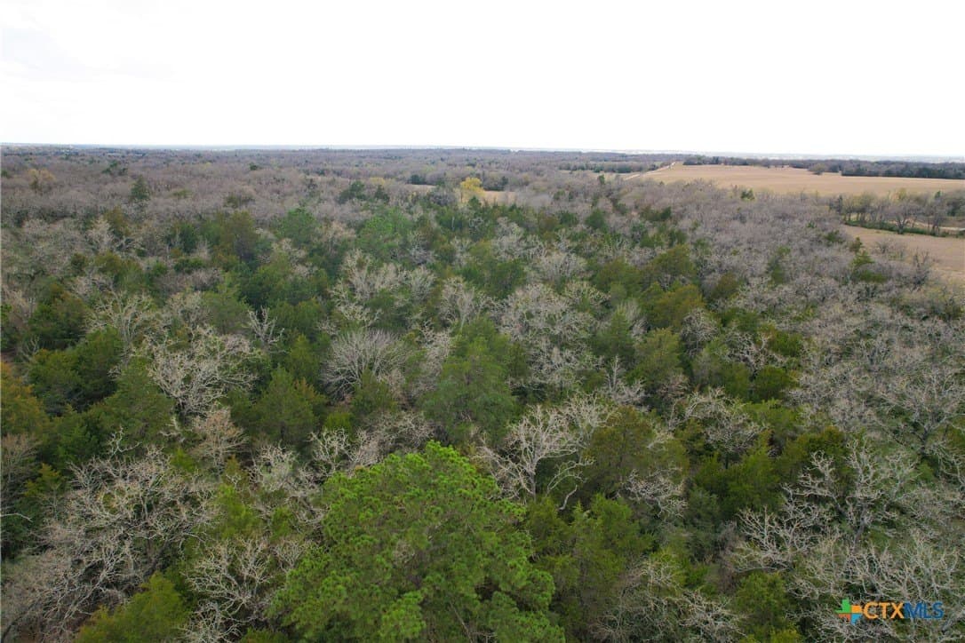 17 acres in Milam County - photo 11