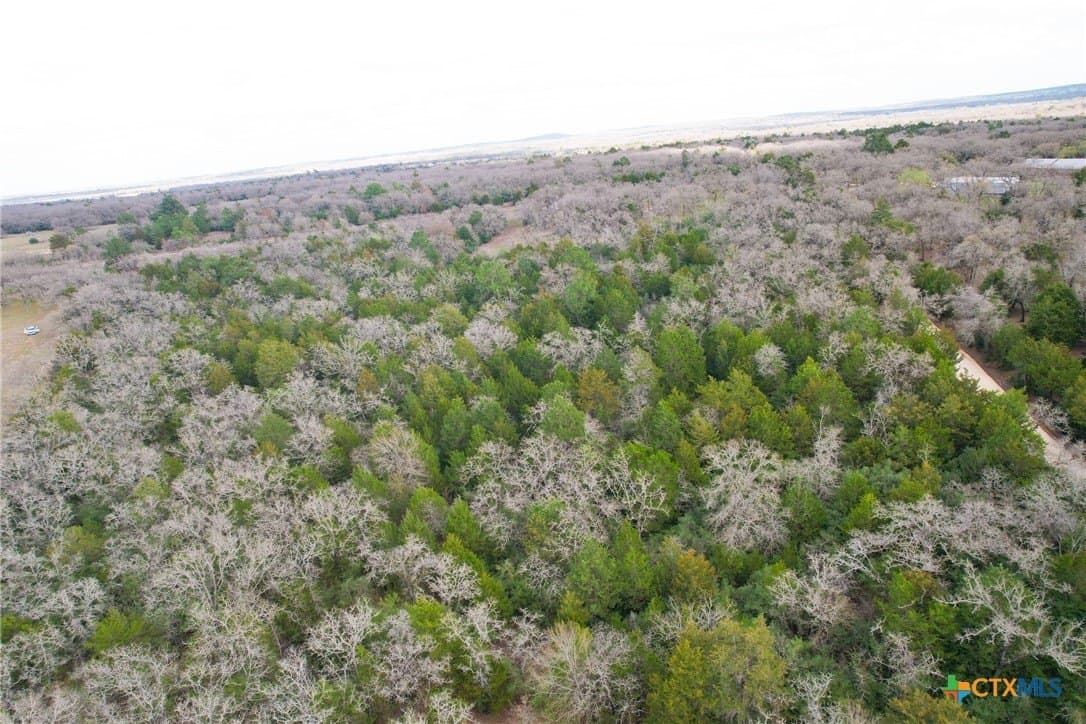 17 acres in Milam County - photo 4