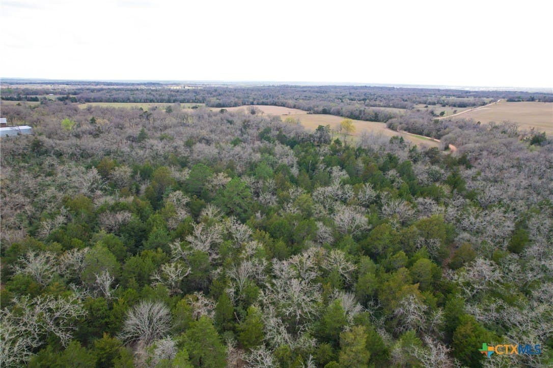17 acres in Milam County - photo 9
