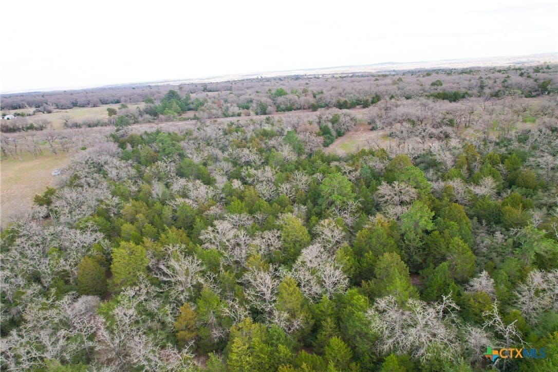 17 acres in Milam County - photo 7